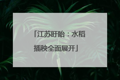 江苏盱眙：水稻插秧全面展开